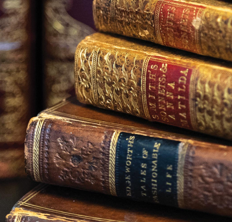 Rebecca Romney collection